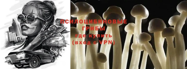 прущая мука Армянск
