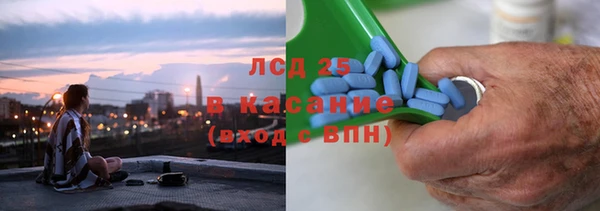 прущие грибы Саяногорск