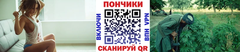 как найти наркотики  Сасово  Каннабис MAZAR 